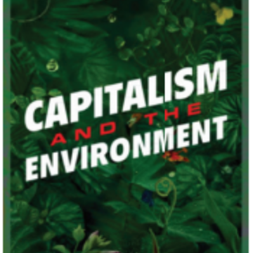 capitalism and the environment