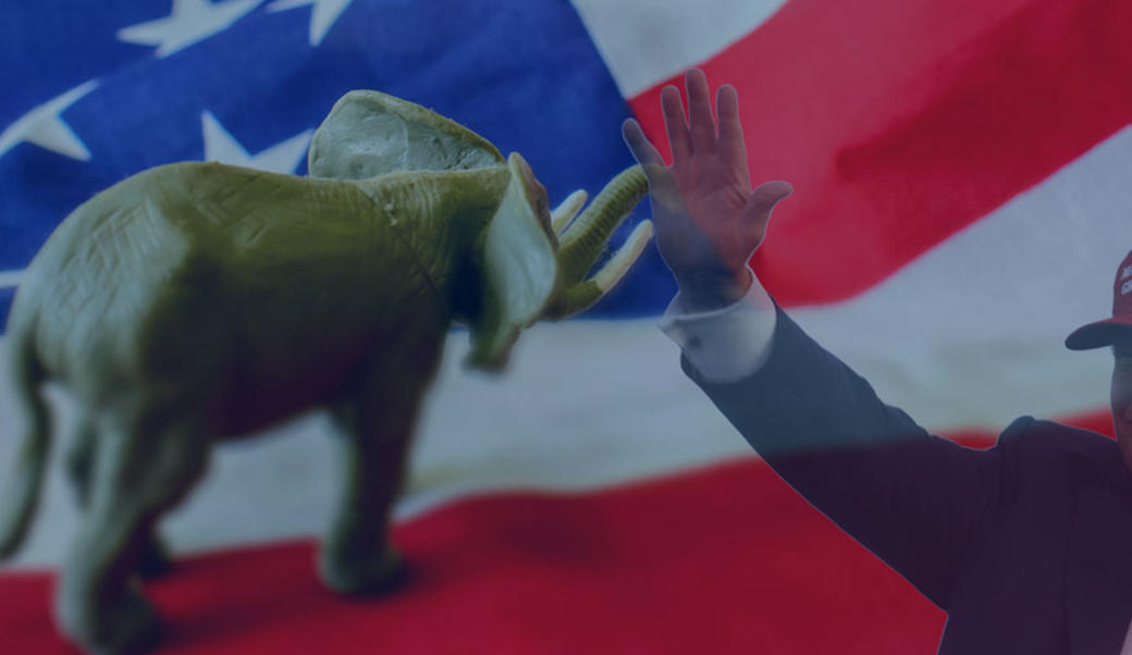 Elephant on American flag with Donald Trump waving