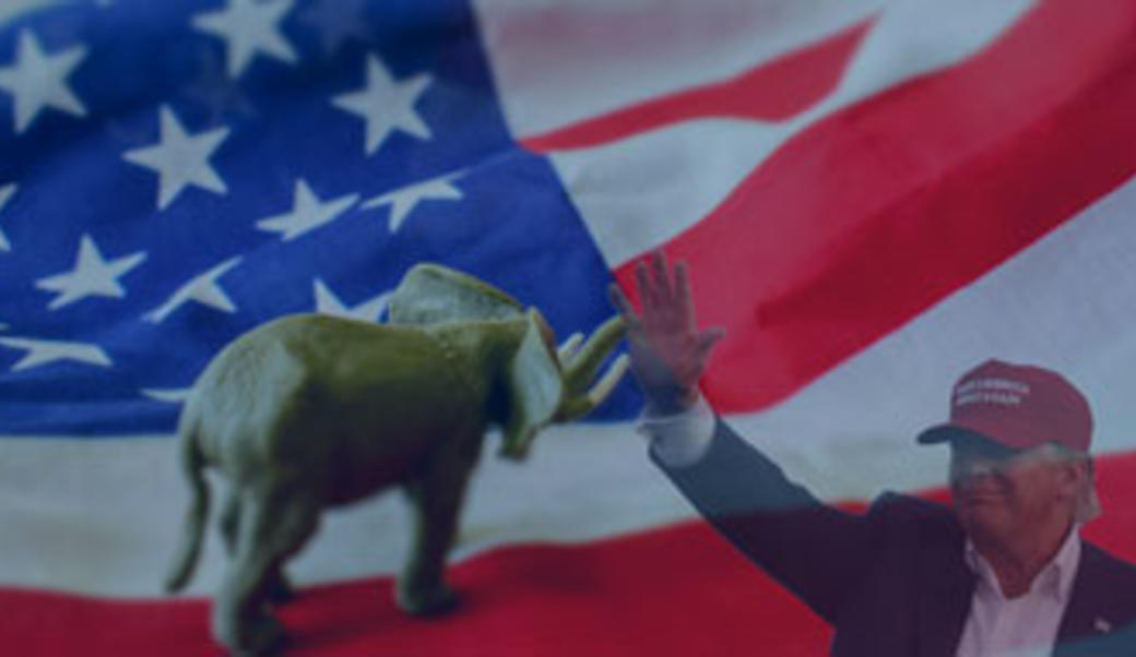 Elephant on American flag with Donald Trump waving