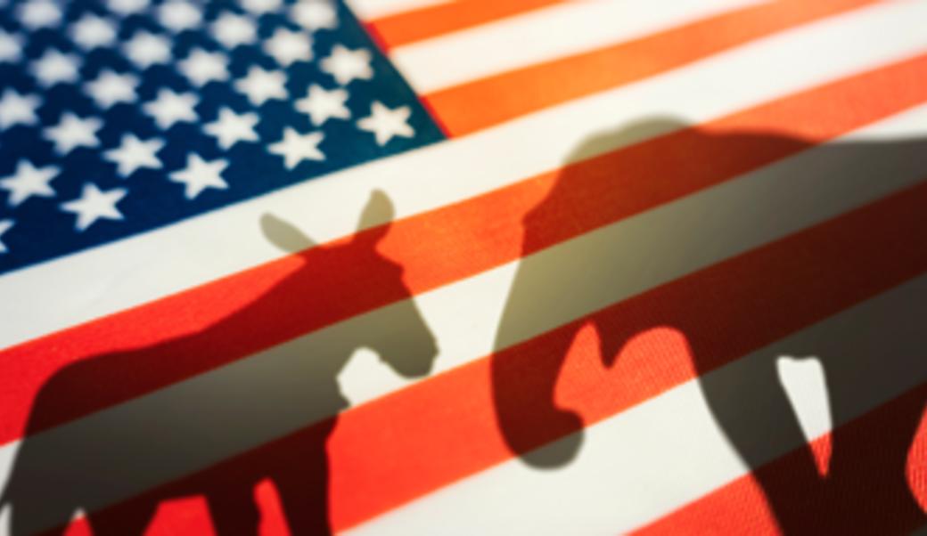 Shadow of Democrat donkey and Republican elephant against American flag