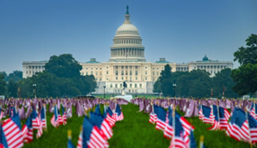 US Capitol with US flags in the foreground