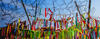 Buddhist peace flags on barbed wire